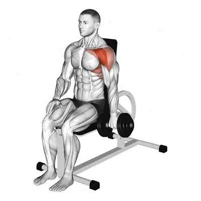 Dumbbell Seated One Arm Front Raise exercise targeting Shoulders and Deltoid Anterior