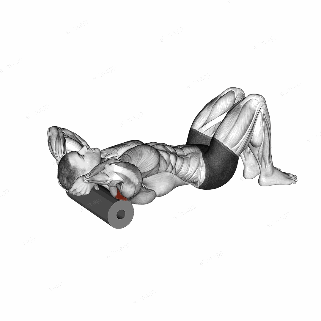 Roll Shoulder Back Rotation Lying on Floor exercise targeting Shoulders