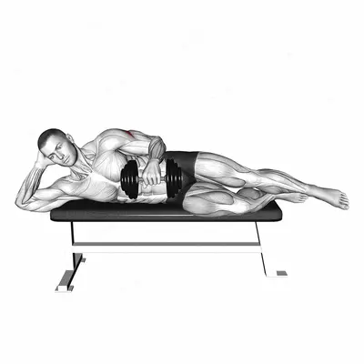 Dumbbell Side Lying External Rotation (on a bench) exercise targeting Back