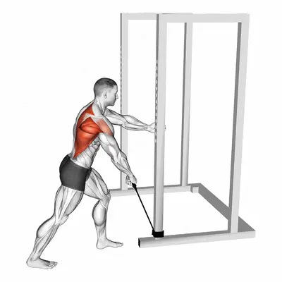 Band One Arm Standing Wide Grip Low Row exercise targeting Back and Infraspinatus