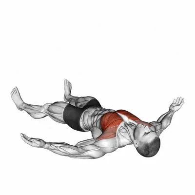 Lying Floor Fly exercise targeting Chest