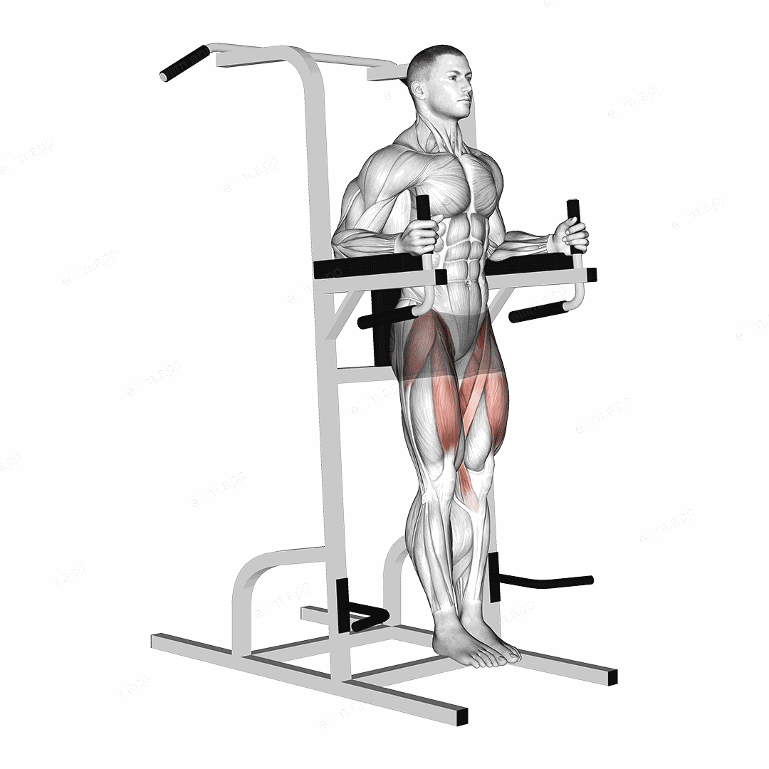 Captains Chair Leg Raise exercise targeting Hips