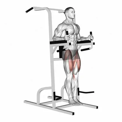 Captains Chair Leg Raise exercise targeting Hips