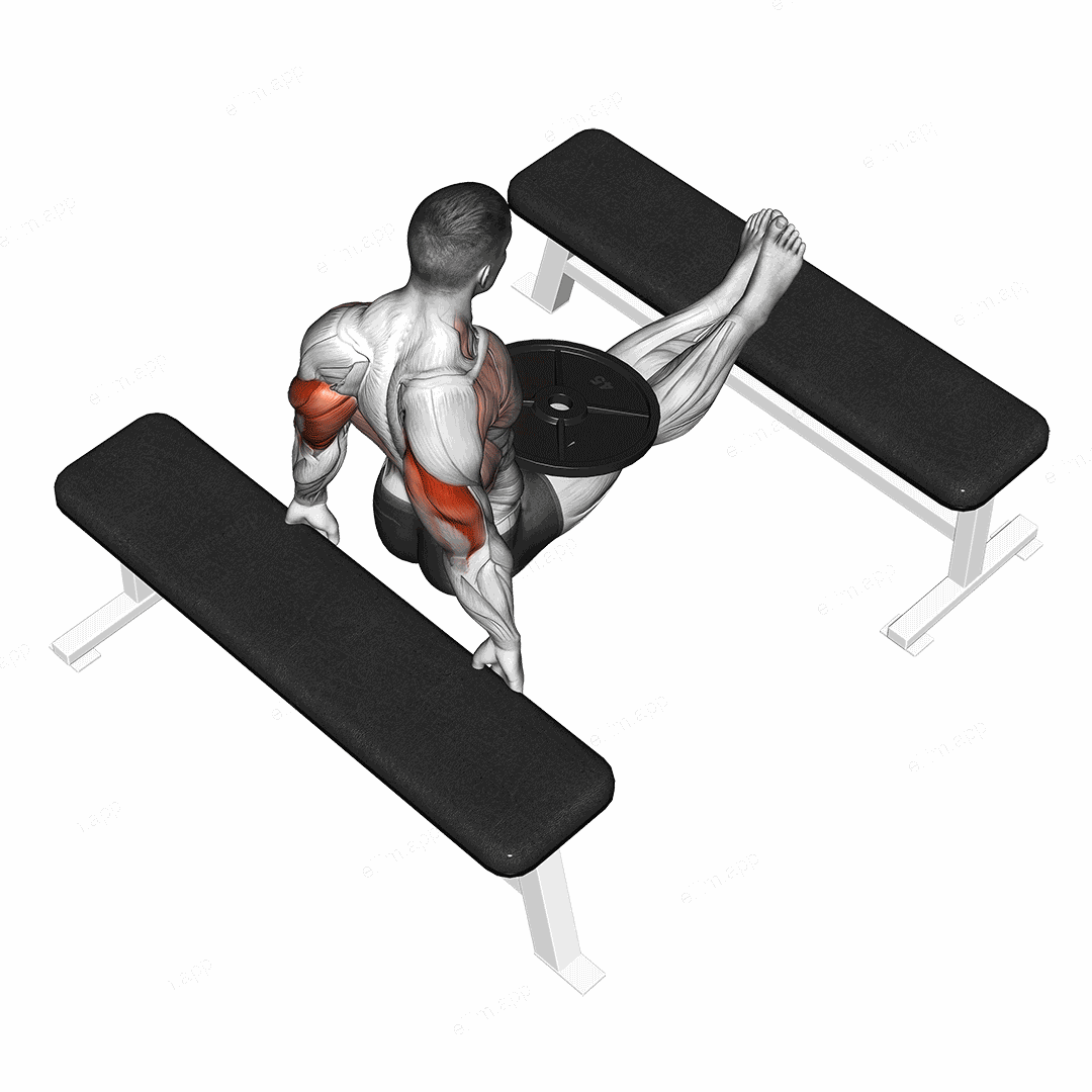 Weighted Bench Dip exercise targeting Upper Arms and Triceps Brachii