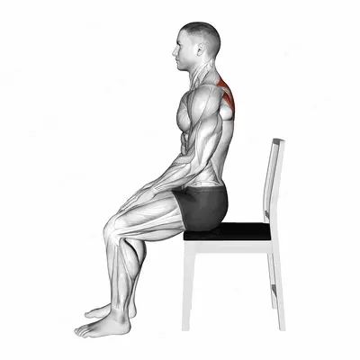 Sitting Scapular Adduction exercise targeting Back