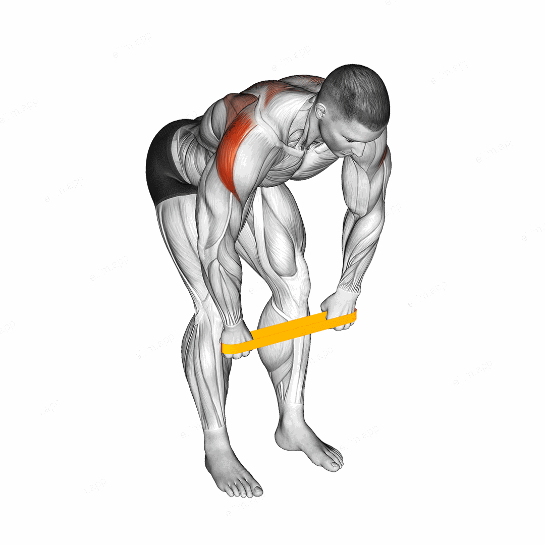Resistance Band Bent Over Rear Delt Fly exercise targeting Shoulders