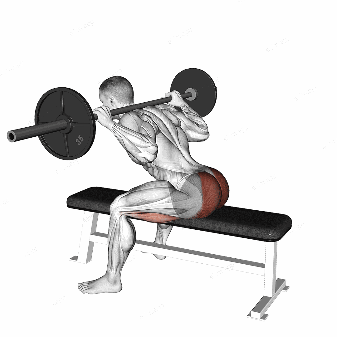 Barbell Seated Good morning exercise targeting Hips and Gluteus Maximus