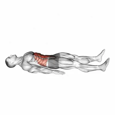 Quarter Sit-up exercise targeting Waist and Rectus Abdominis