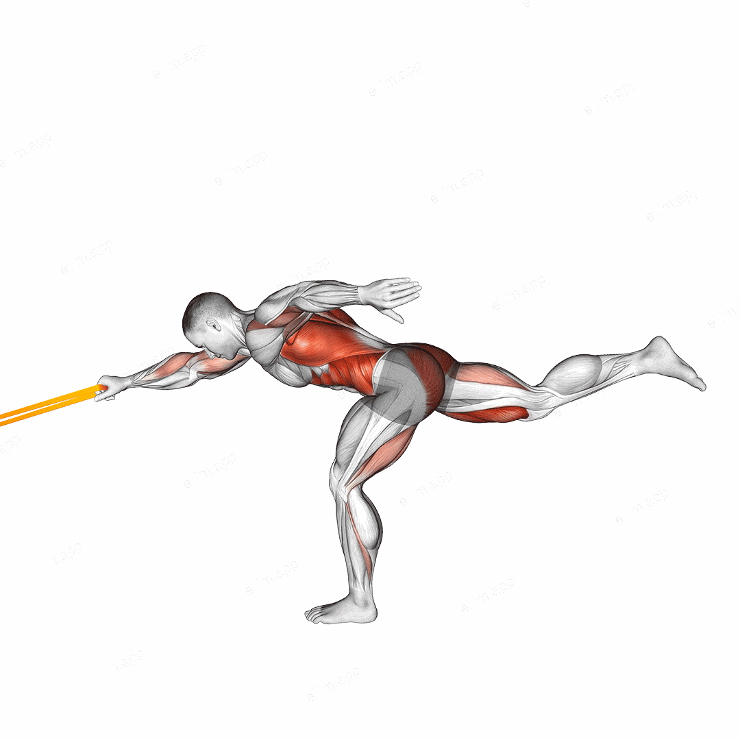 Resistance Band Single Stiff Leg Deadlift with Single Arm Row exercise targeting Back