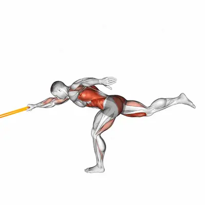 Resistance Band Single Stiff Leg Deadlift with Single Arm Row exercise targeting Back