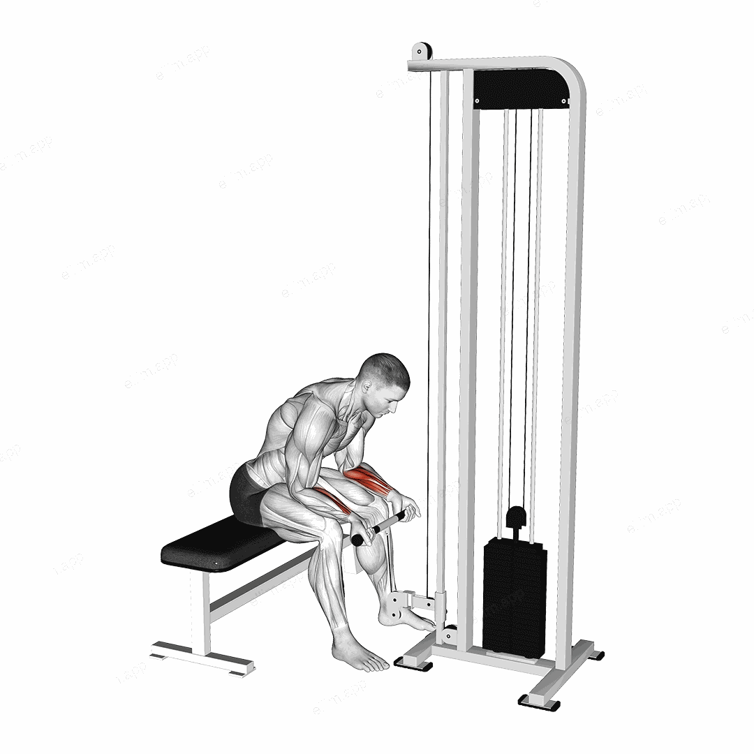 Cable Wrist Curl exercise targeting Forearms and Wrist Flexors