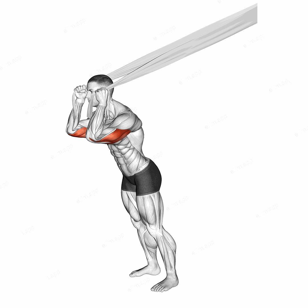 Overhead Triceps Extension with Bed Sheet exercise targeting Upper Arms and Triceps Brachii