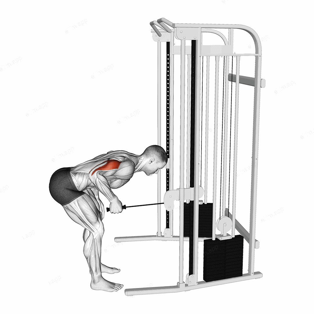 Cable Neutral Grip Kickback exercise targeting Upper Arms and Triceps Brachii