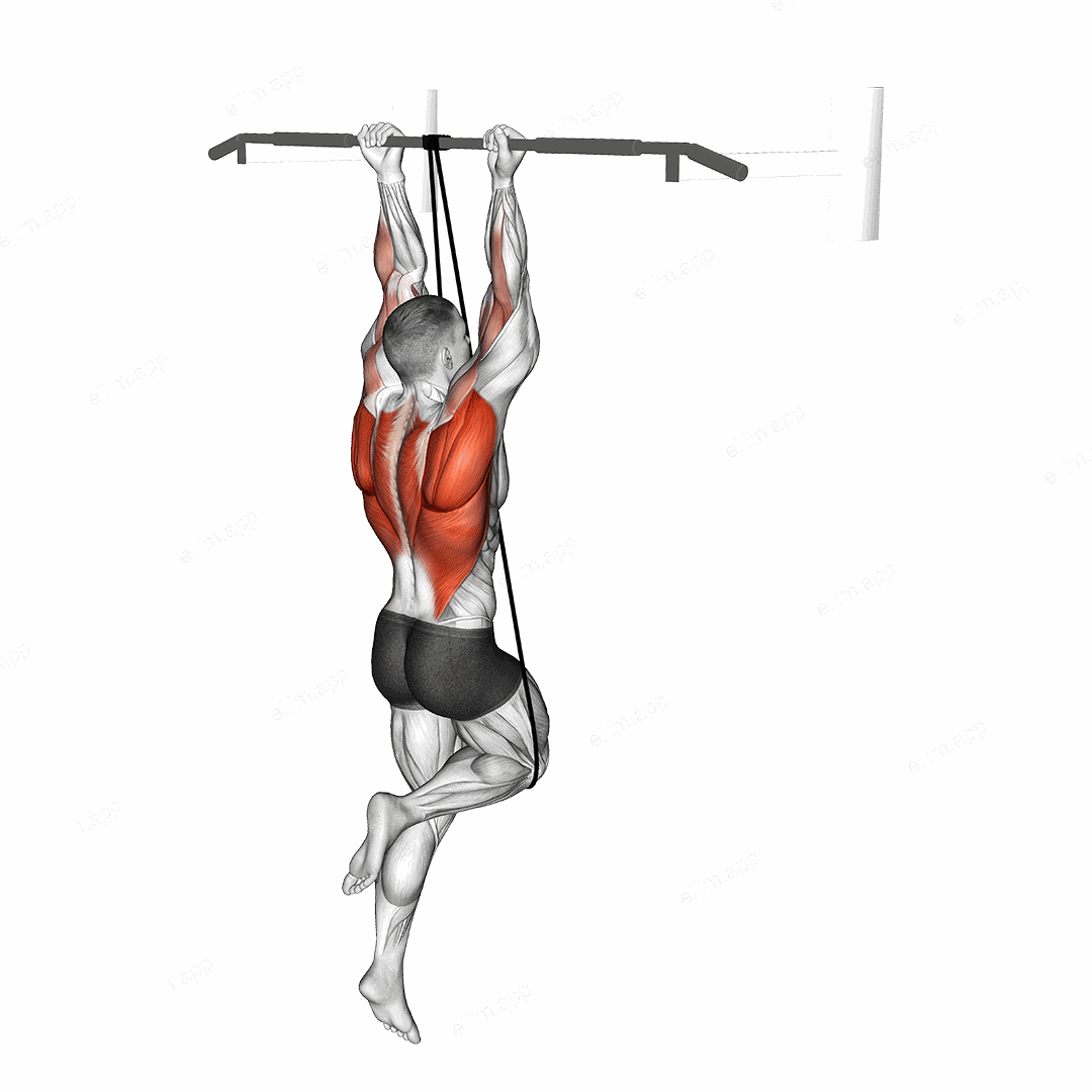 Band Assisted Chin-Up (From Knee) exercise targeting Back and Infraspinatus