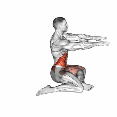 Shin Box Switch exercise targeting Stretching