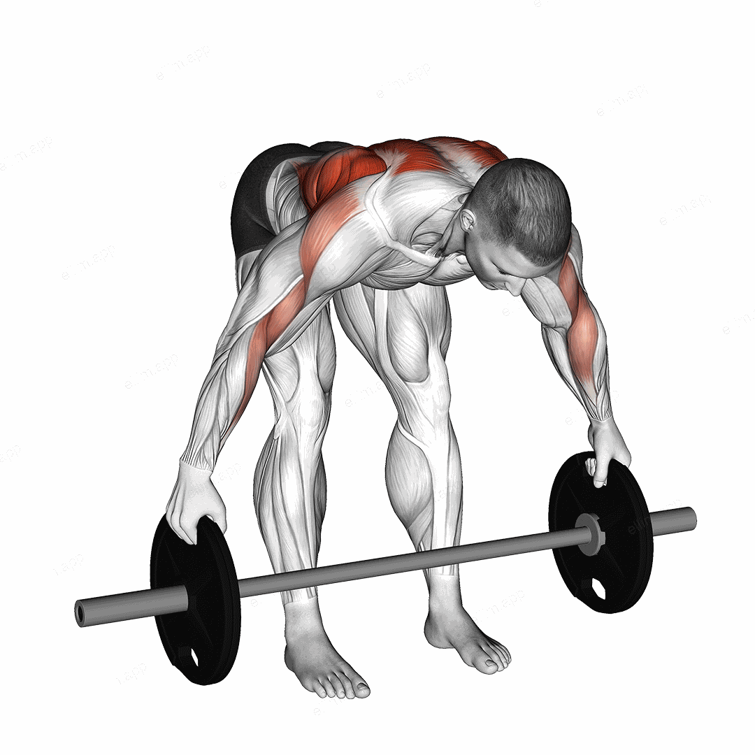 Barbell Bent Over Wide Row Plus exercise targeting Back and Infraspinatus