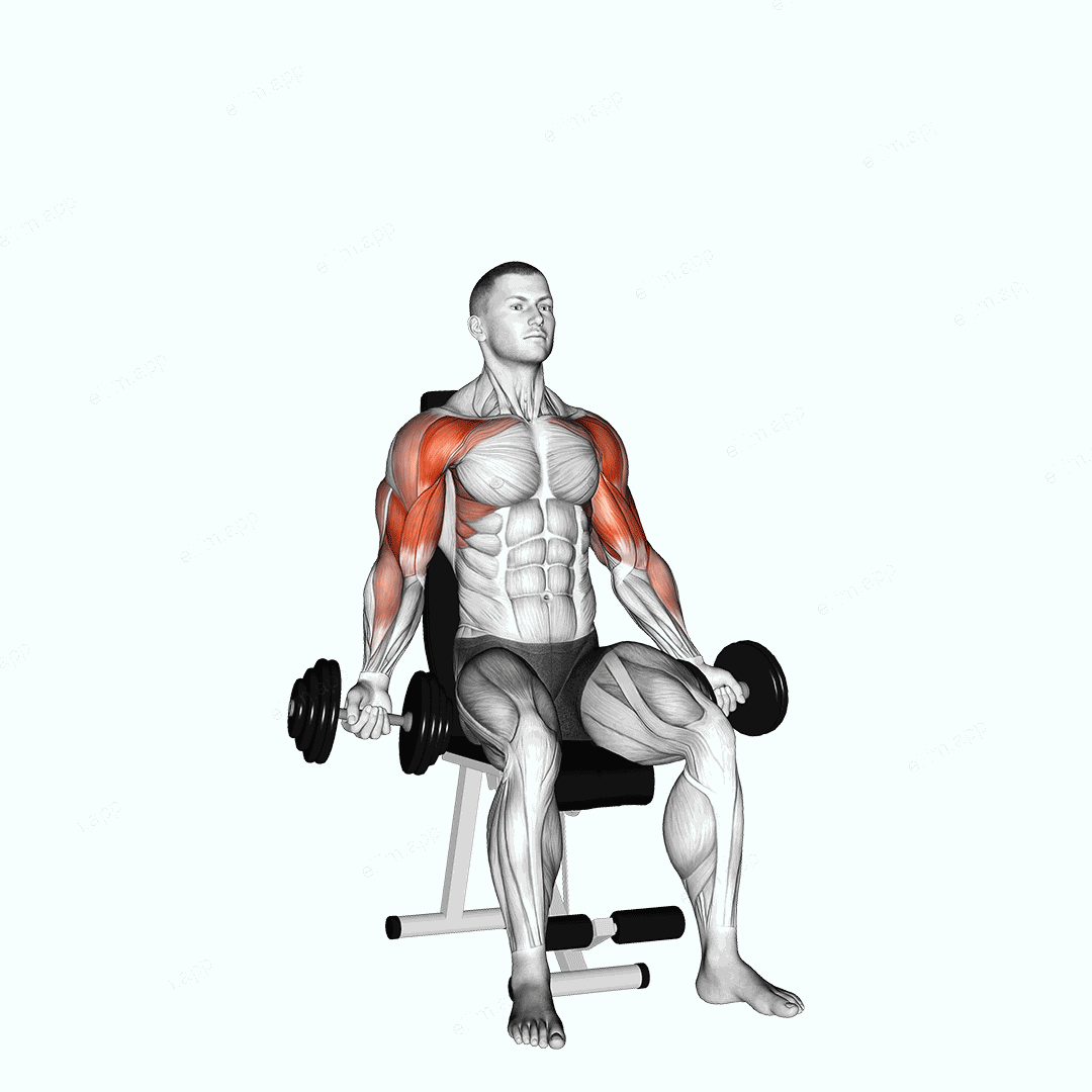 Dumbbell Seated Biceps Curl to Shoulder Press exercise targeting Biceps Brachii and Brachialis