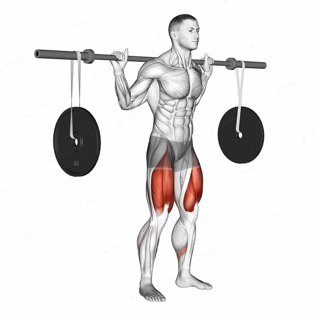Barbell Squat (with hanging band technique) exercise targeting Thighs and Gluteus Maximus