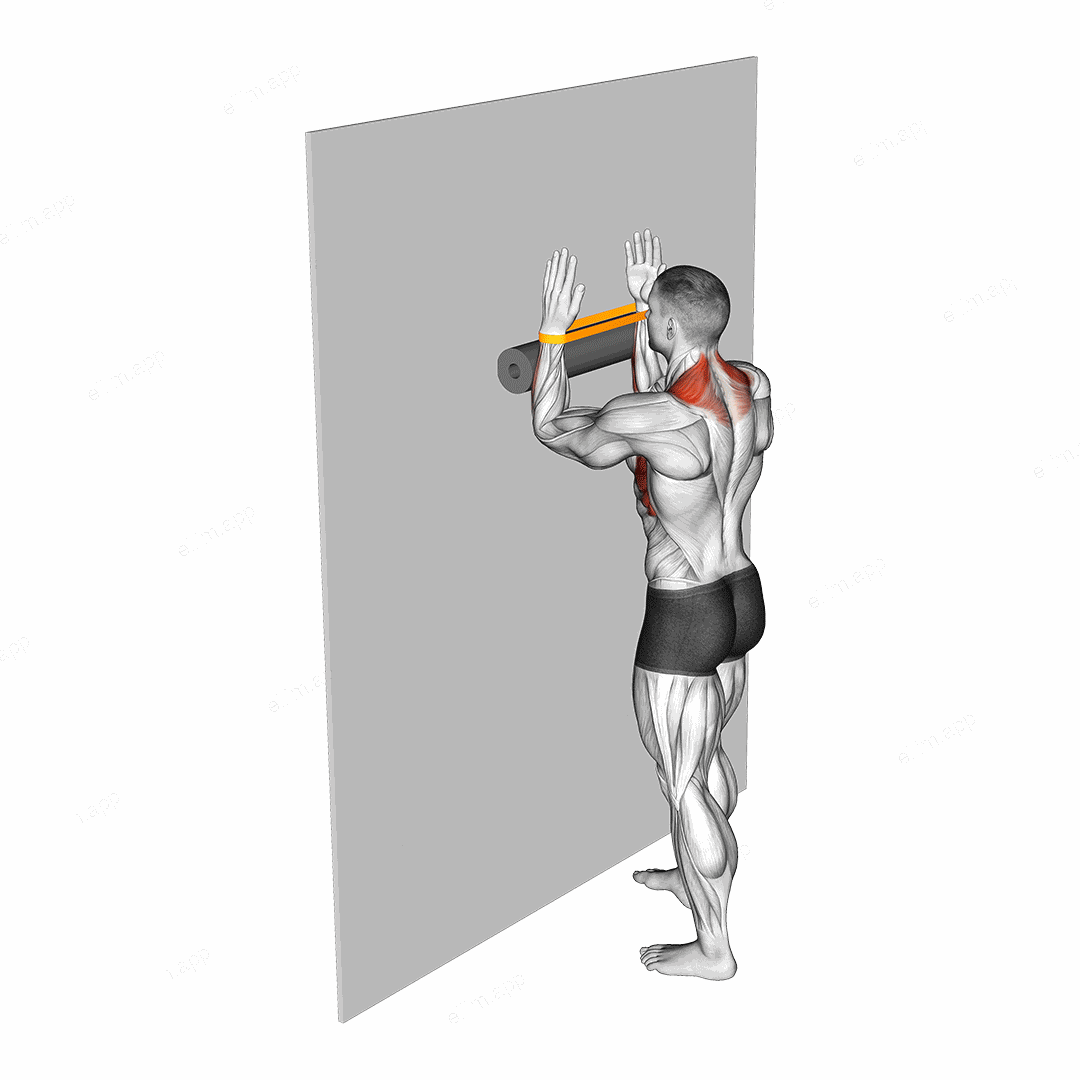 Resistance Band Serratus Wall Slide with Foam Roll exercise targeting Back and Serratus Anterior