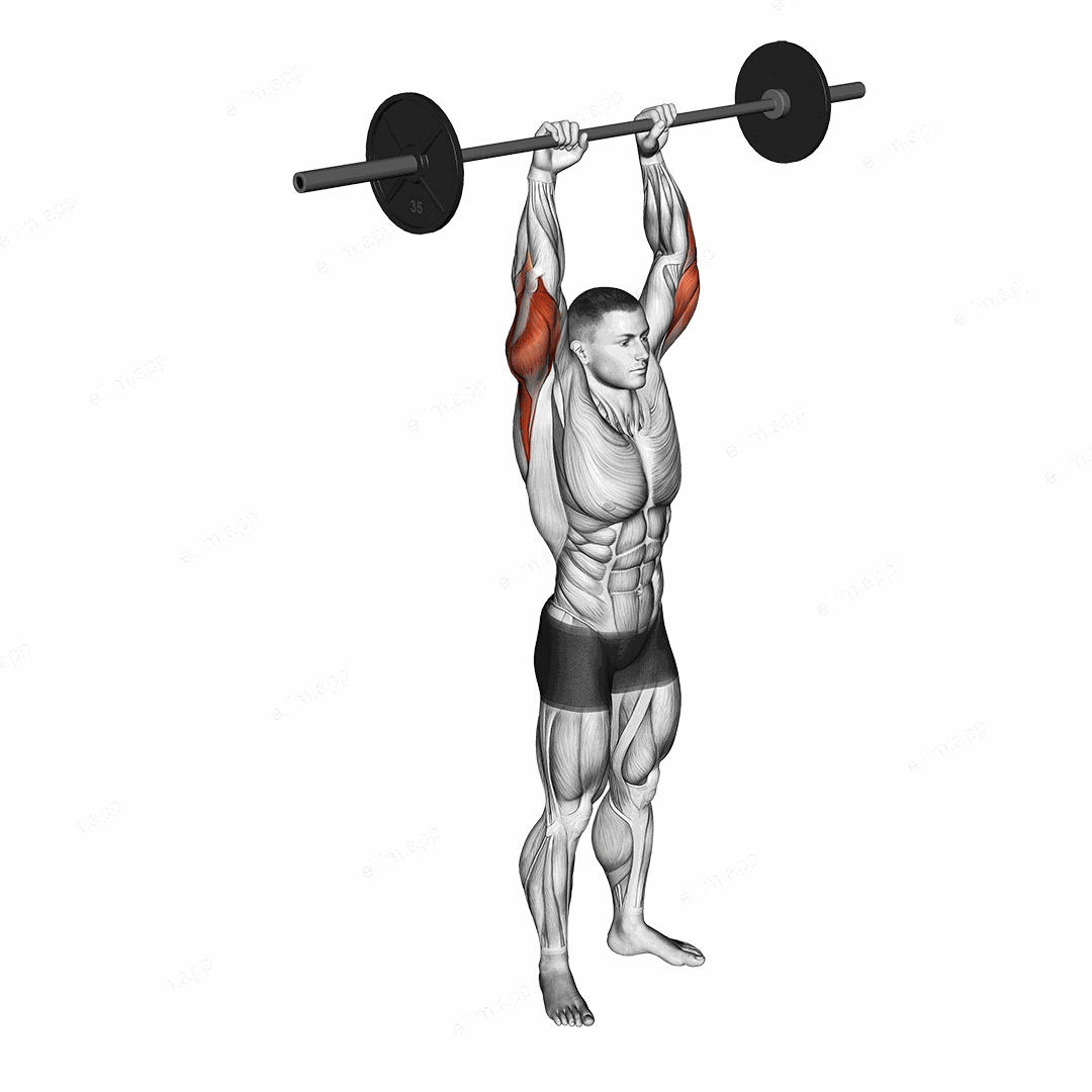 Barbell Standing Overhead Triceps Extension exercise targeting Upper Arms and Triceps Brachii