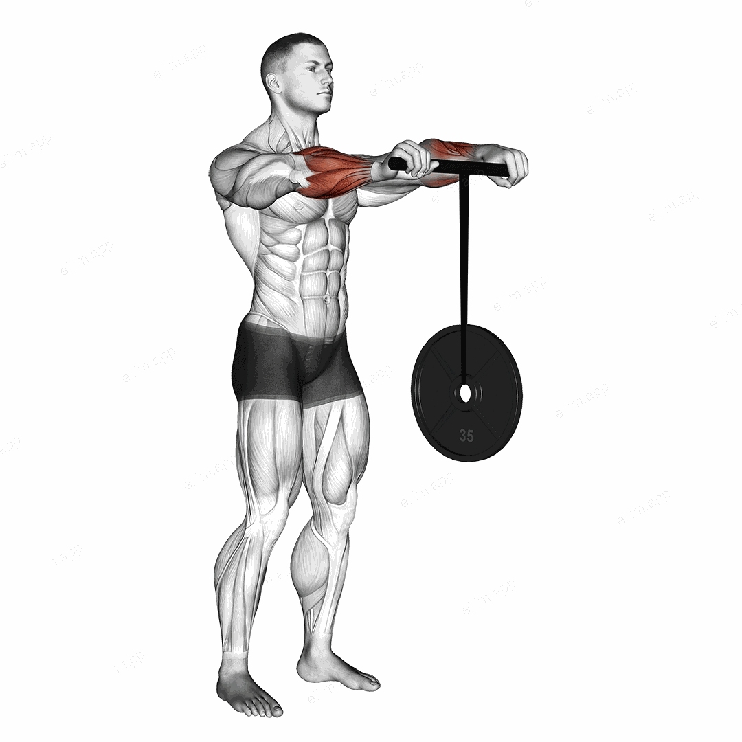 Wrist Roller exercise targeting Forearms and Wrist Extensors