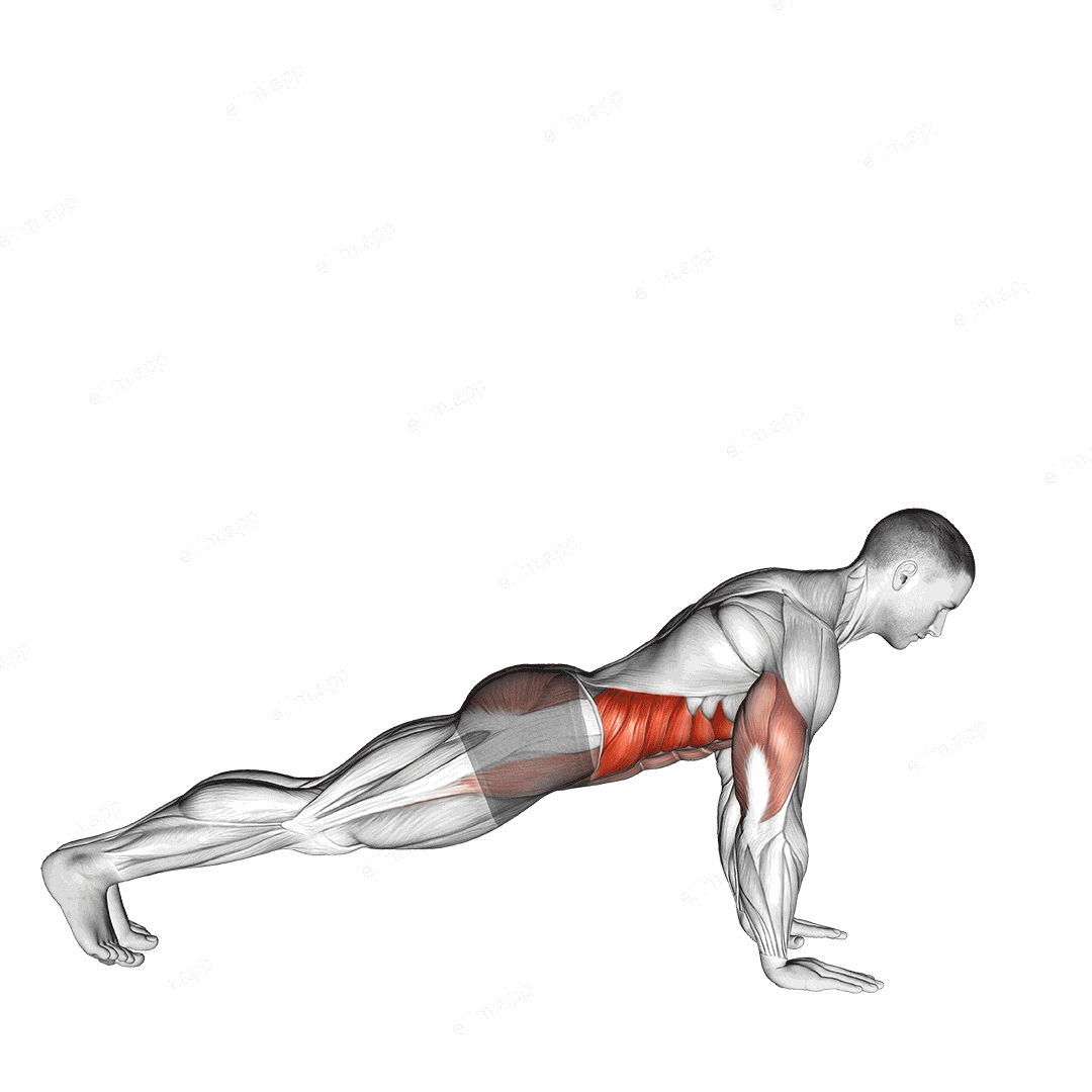 Push Up to Side Plank exercise targeting Waist