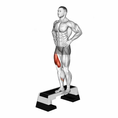 Stepdown Squat exercise targeting Thighs