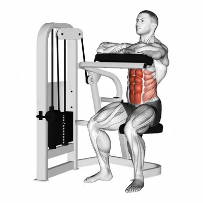 Lever Seated Crunch (hands pad) exercise targeting Waist and Rectus Abdominis
