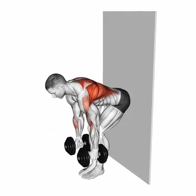 Dumbbell Bent Over Row against Wall exercise targeting Back