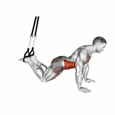 Suspender Front Plank exercise targeting Waist