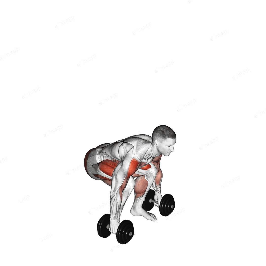 Dumbbell Power Clean exercise targeting Weightlifting