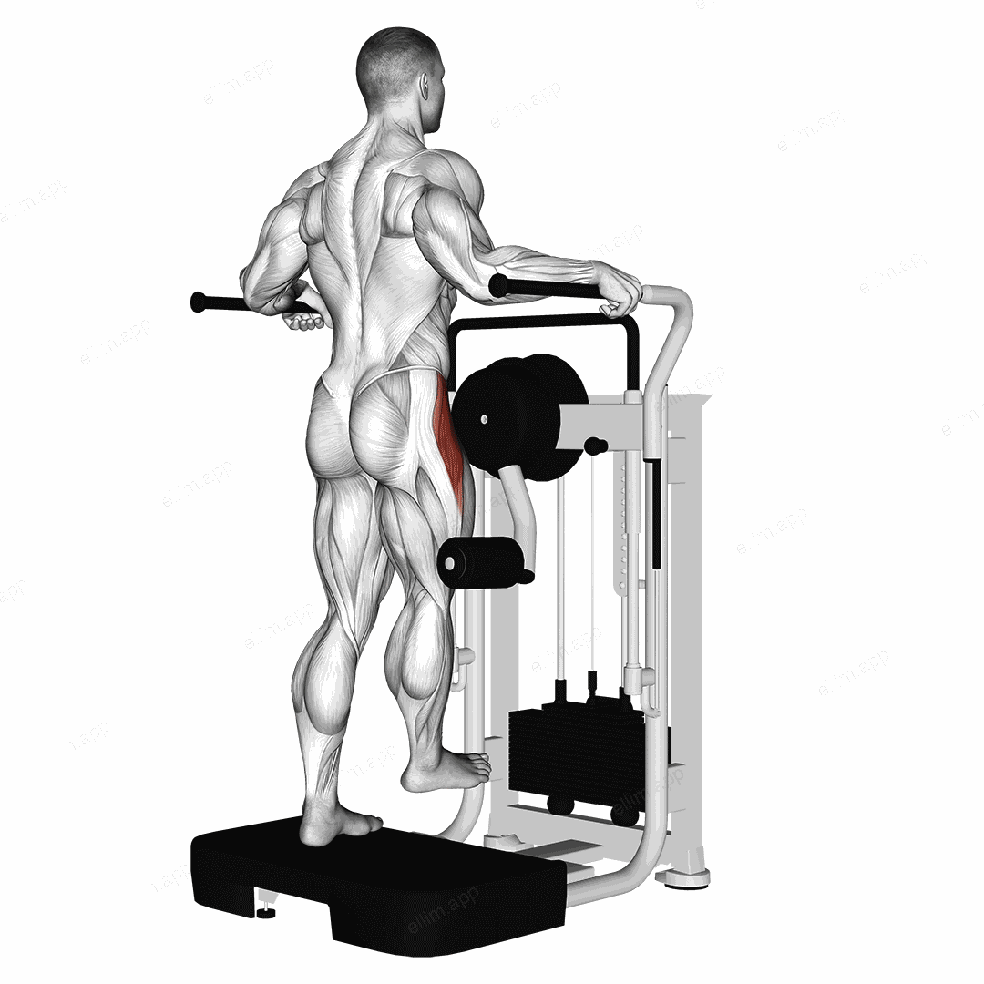 Lever Side Hip Abduction exercise targeting Hips and Iliopsoas