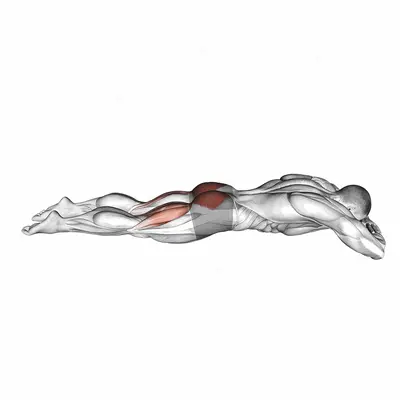 Lying Hyperextension Hold exercise targeting Hips