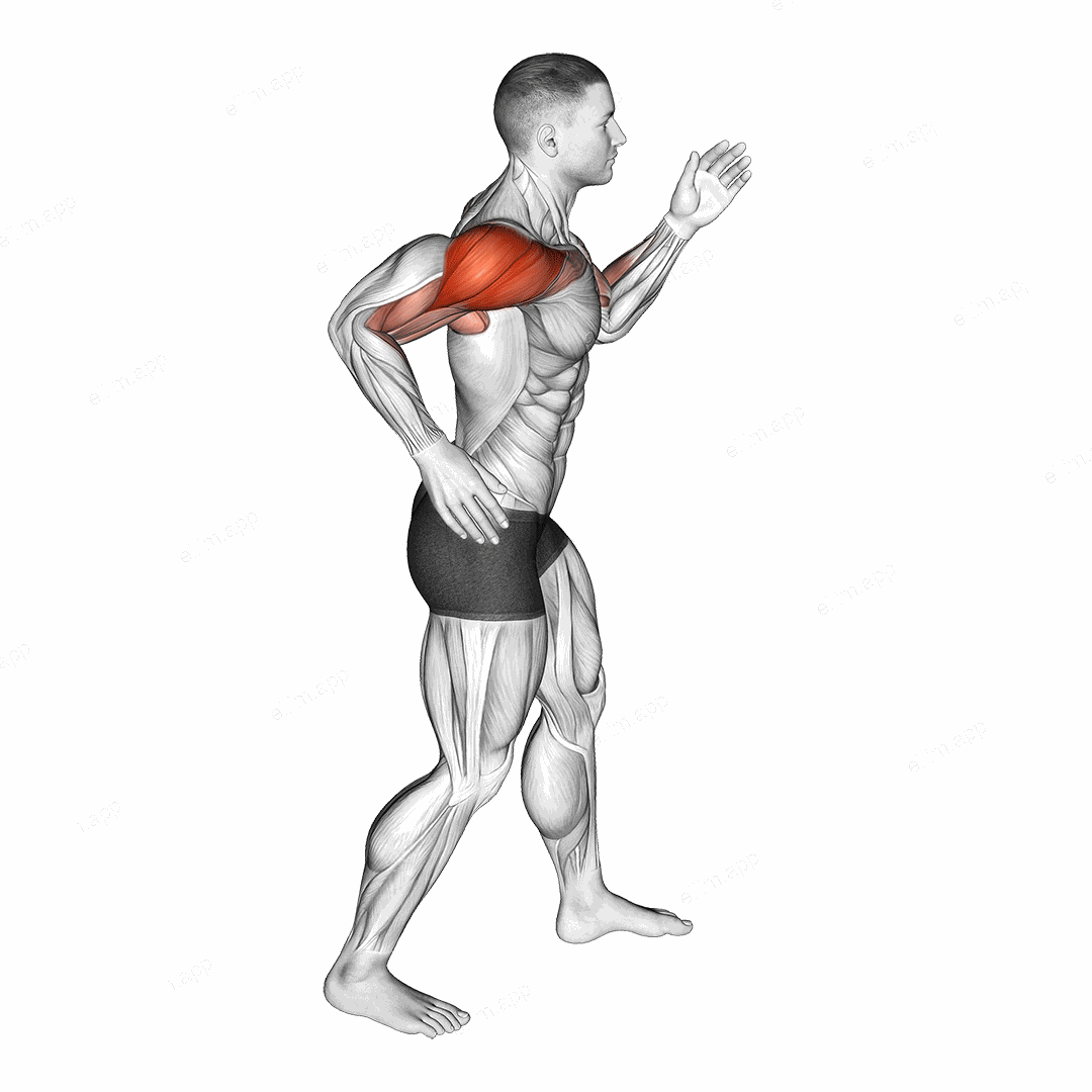 Quickly Swing Arms in place exercise targeting Shoulders and Deltoid Anterior