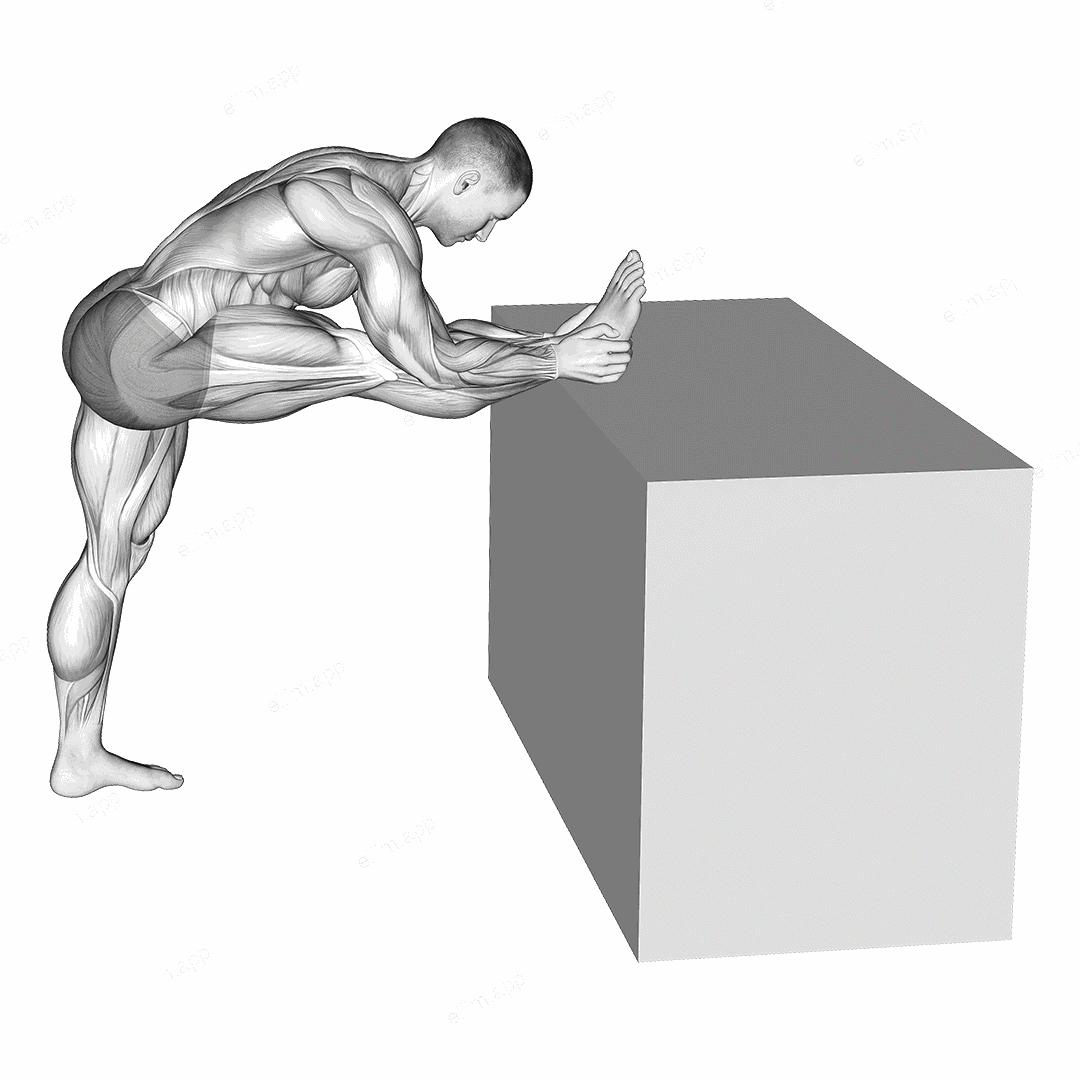 Raised Leg Knee Flexor Stretch exercise targeting Thighs