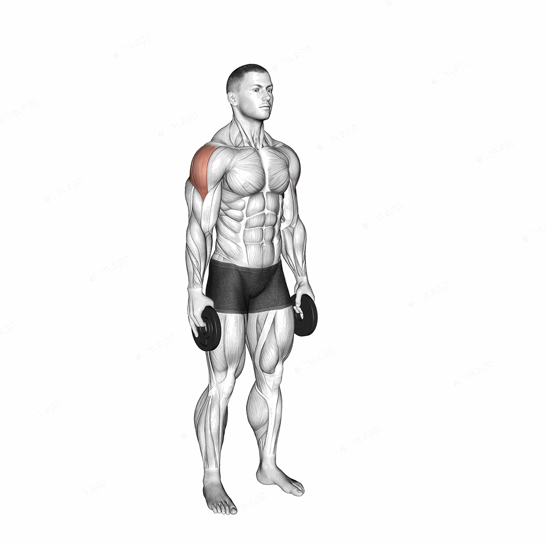Weighted Full Can Exercise exercise targeting Shoulders