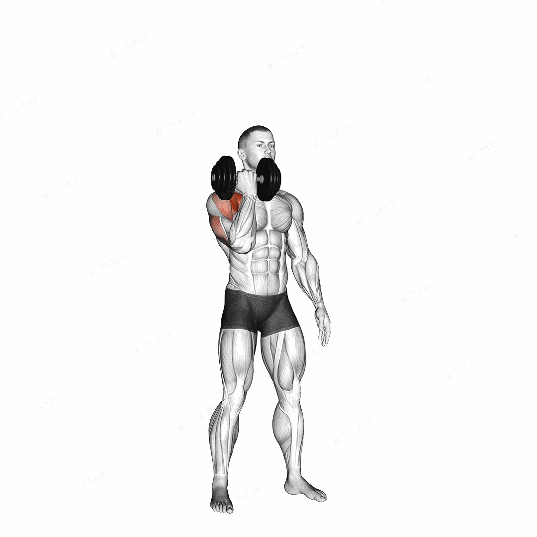 Dumbbell Standing Single Arm Arnold Press exercise targeting Shoulders