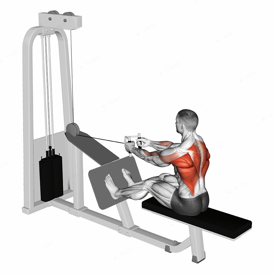 Cable Seated Row with V bar exercise targeting Back and Infraspinatus