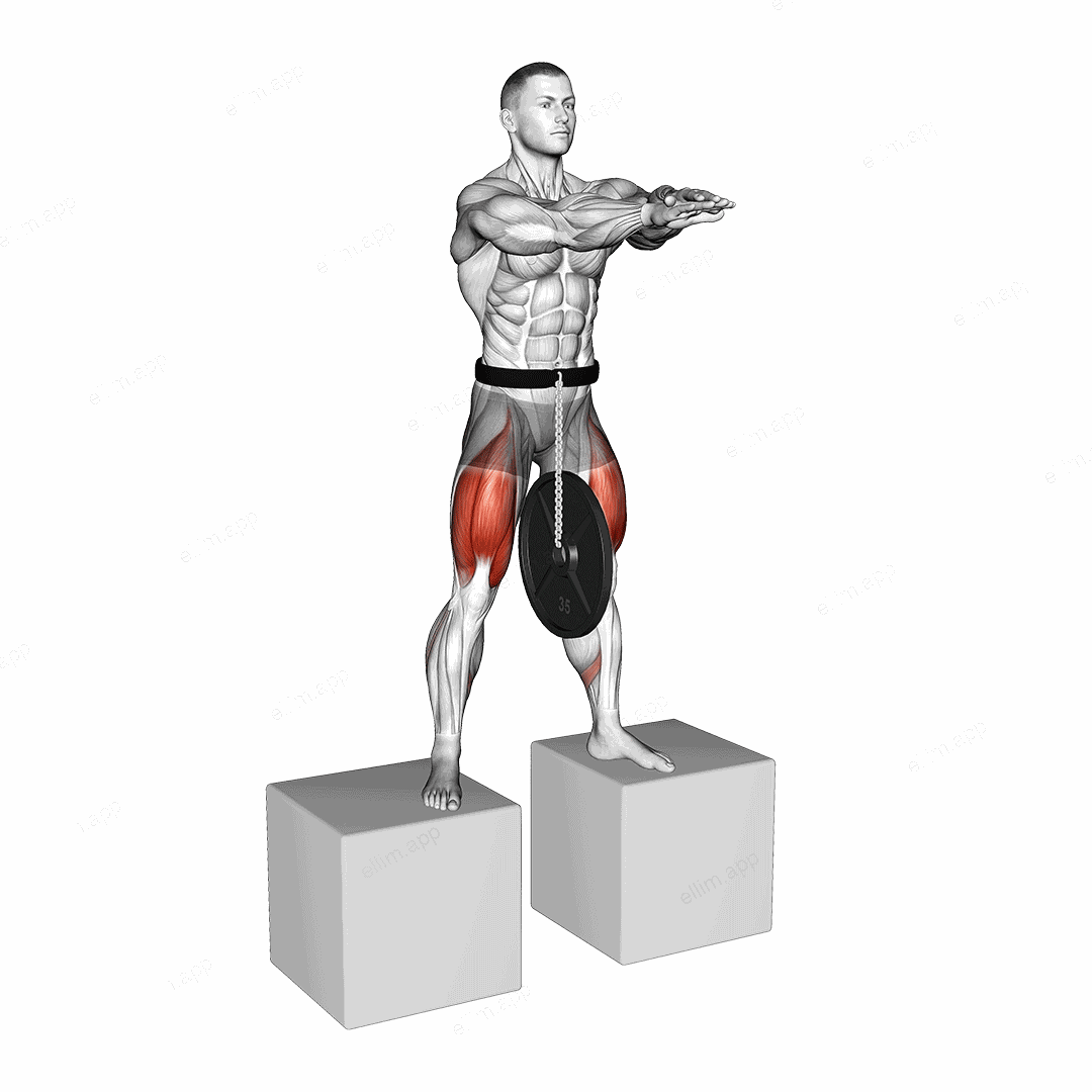 Weighted Full Squat from Deficit exercise targeting Thighs