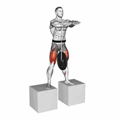 Weighted Full Squat from Deficit exercise targeting Thighs