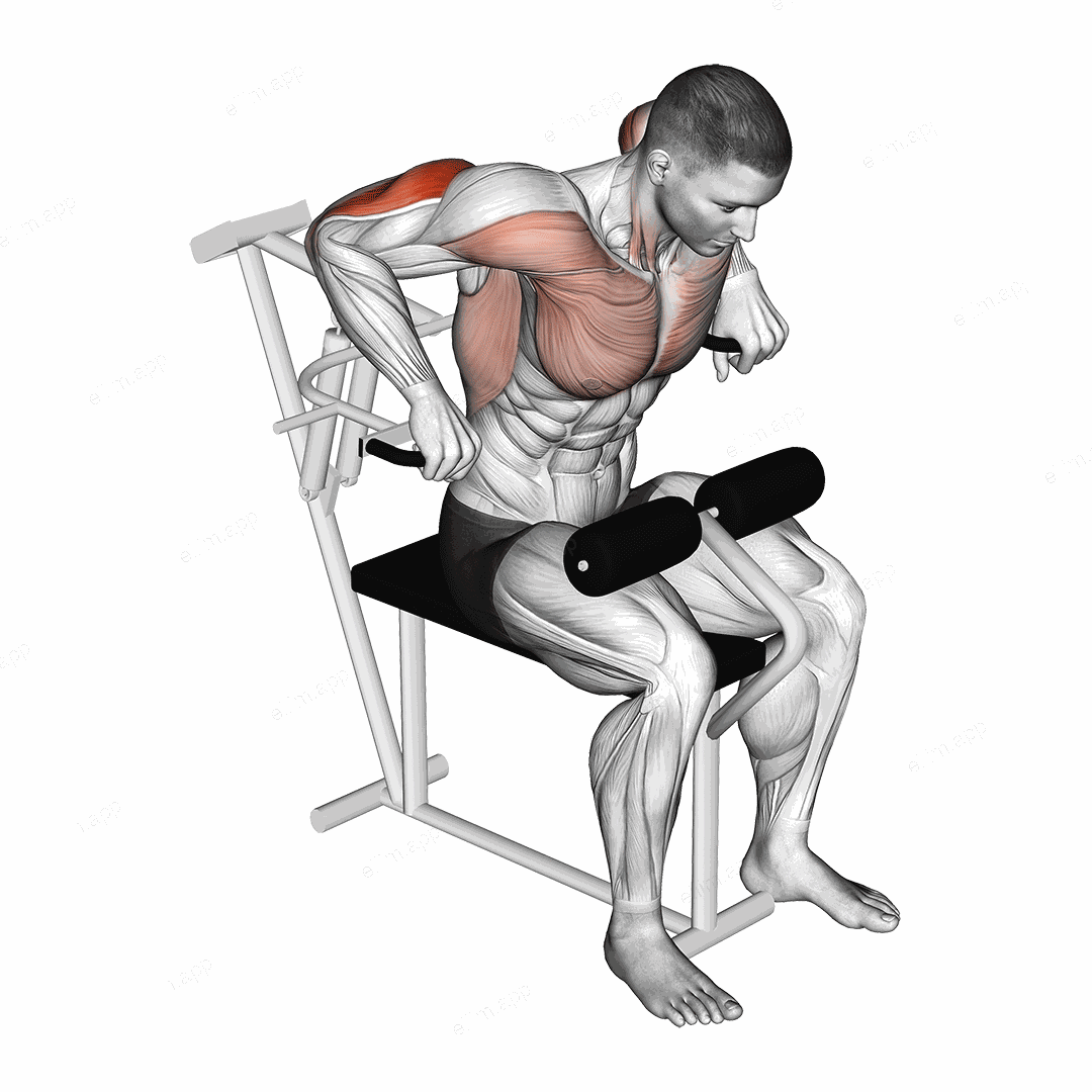 Lever Overhand Triceps Dip exercise targeting Upper Arms and Triceps Brachii