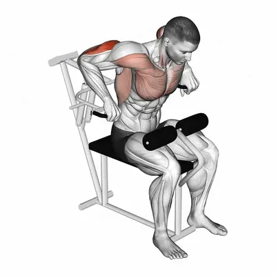 Lever Overhand Triceps Dip exercise targeting Upper Arms and Triceps Brachii