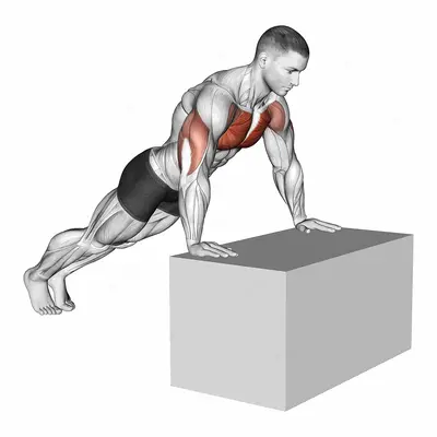 Incline Push-Up (on box) exercise targeting Chest and Pectoralis Major Clavicular Head