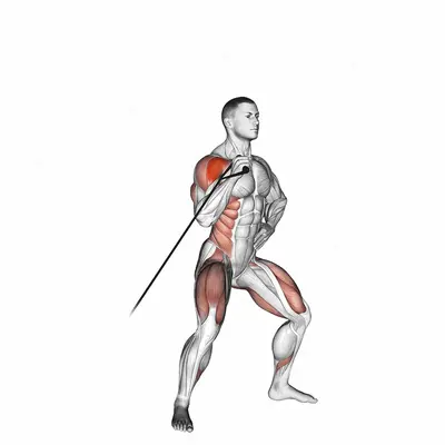 Band twisting overhead press exercise targeting Shoulders and Deltoid Anterior