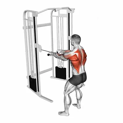 Cable Standing Close Grip Row exercise targeting Back and Infraspinatus