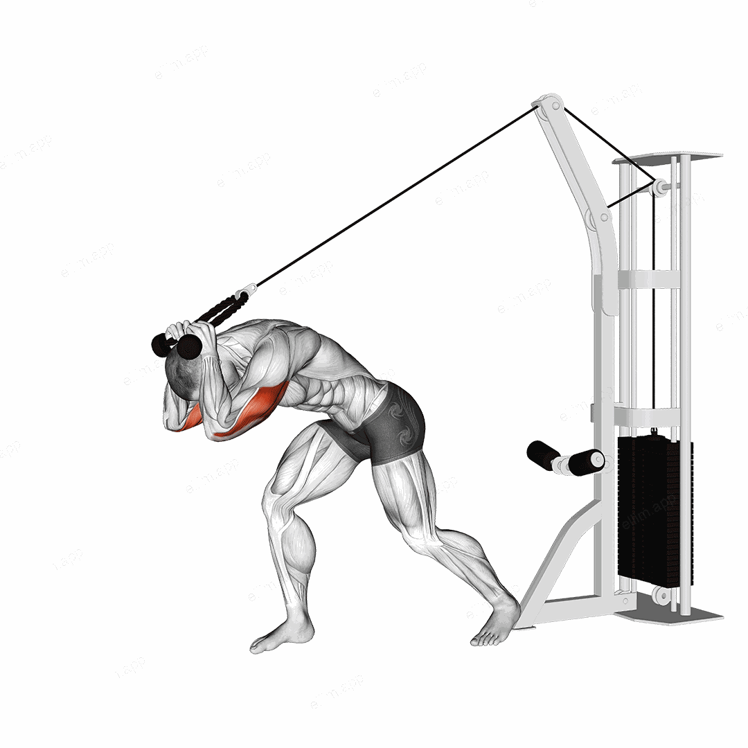 Cable Rope High Pulley Overhead Tricep Extension exercise targeting Upper Arms and Triceps Brachii