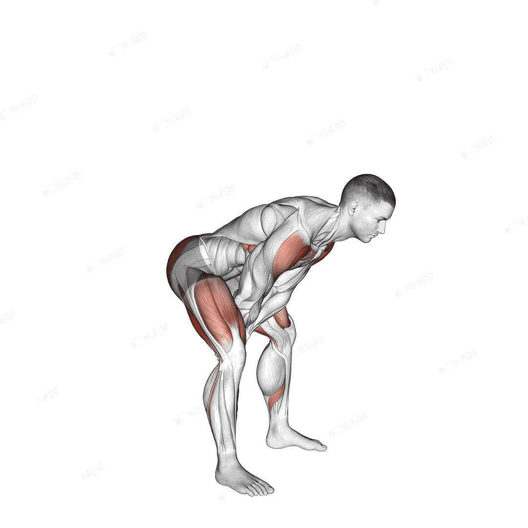 Bodyweight Swing exercise targeting Hips