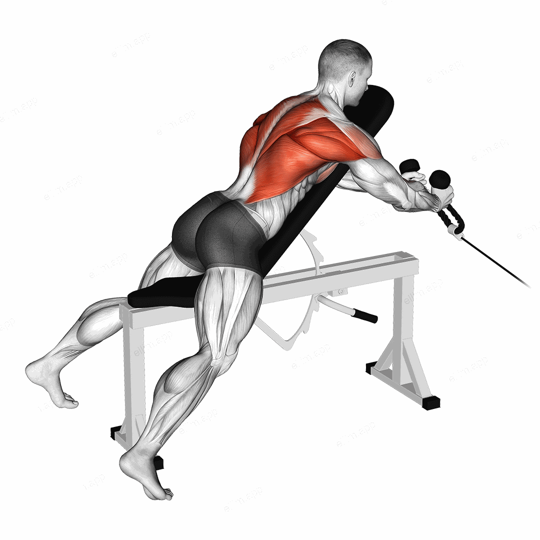 Cable Rope Extension Incline Bench Row exercise targeting Back and Infraspinatus