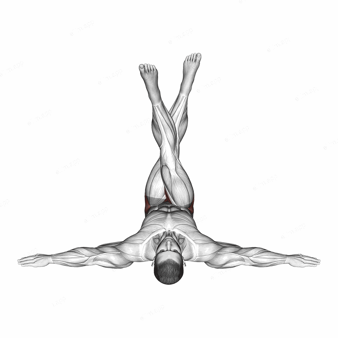 Lying Criss Cross Legs exercise targeting Hips