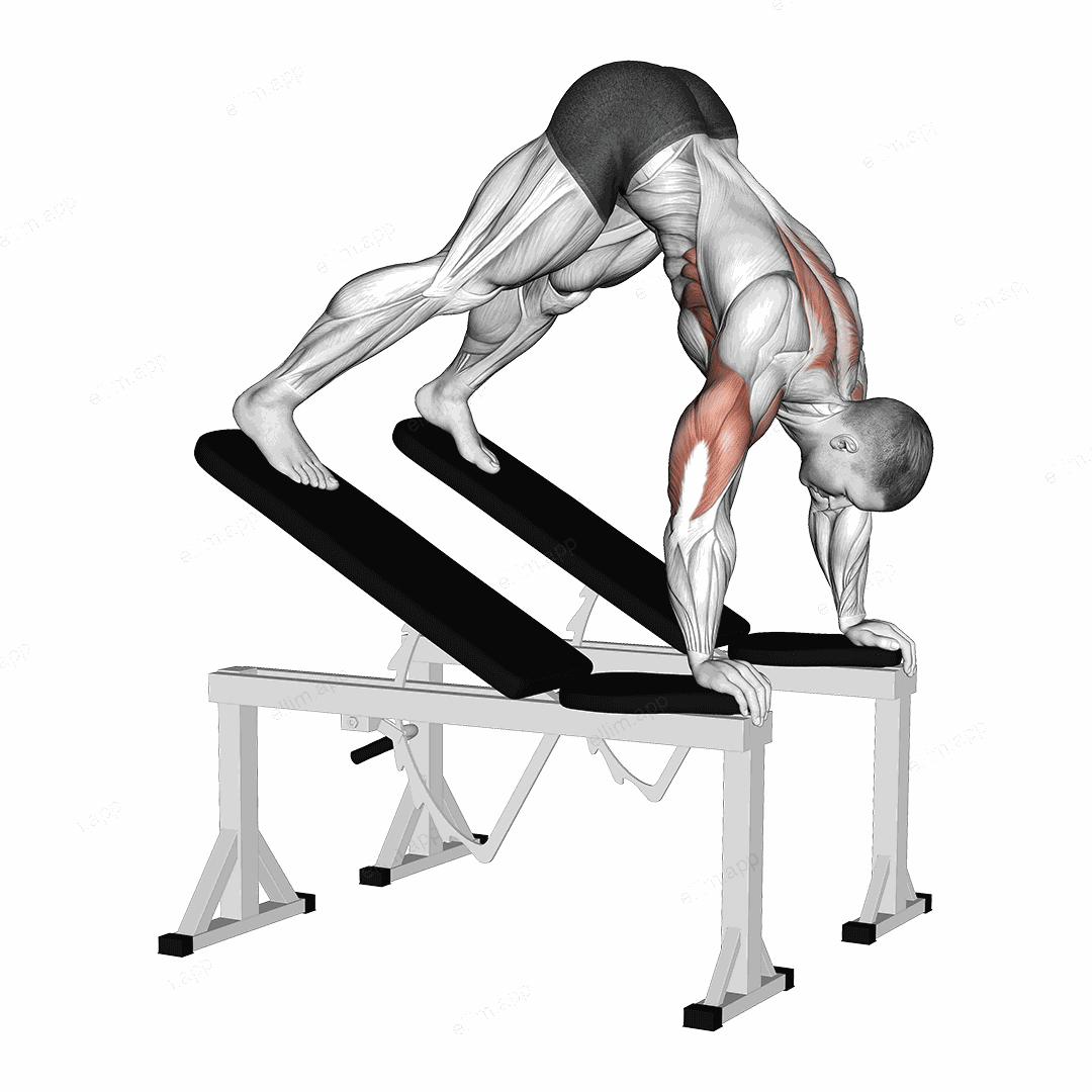 Decline Pike Press (between benches) exercise targeting Shoulders